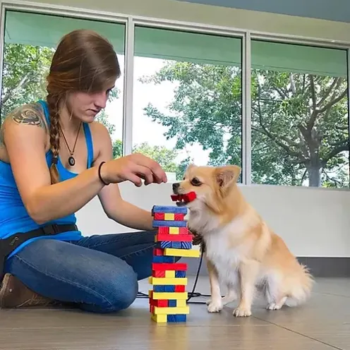 Lauderdale Pet Lodge Trainer, Hannah, playing with a dog