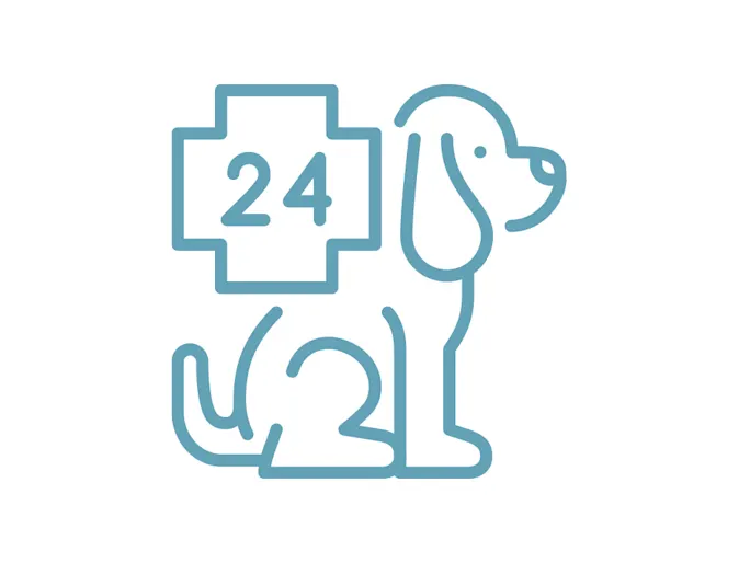 Emergency icon Emergency icon