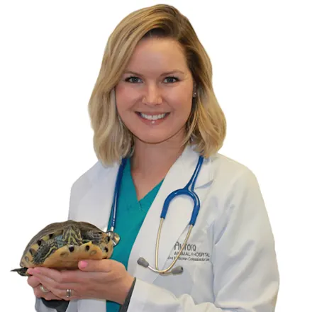 Staff at Aurora Animal Hospital | Aurora Animal Hospital