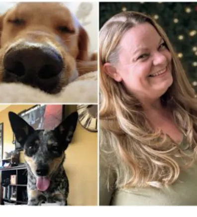 Kelly of Value Vet and her two dogs, Kota & Daisy Kelly of Value Vet and her two dogs, Kota & Daisy