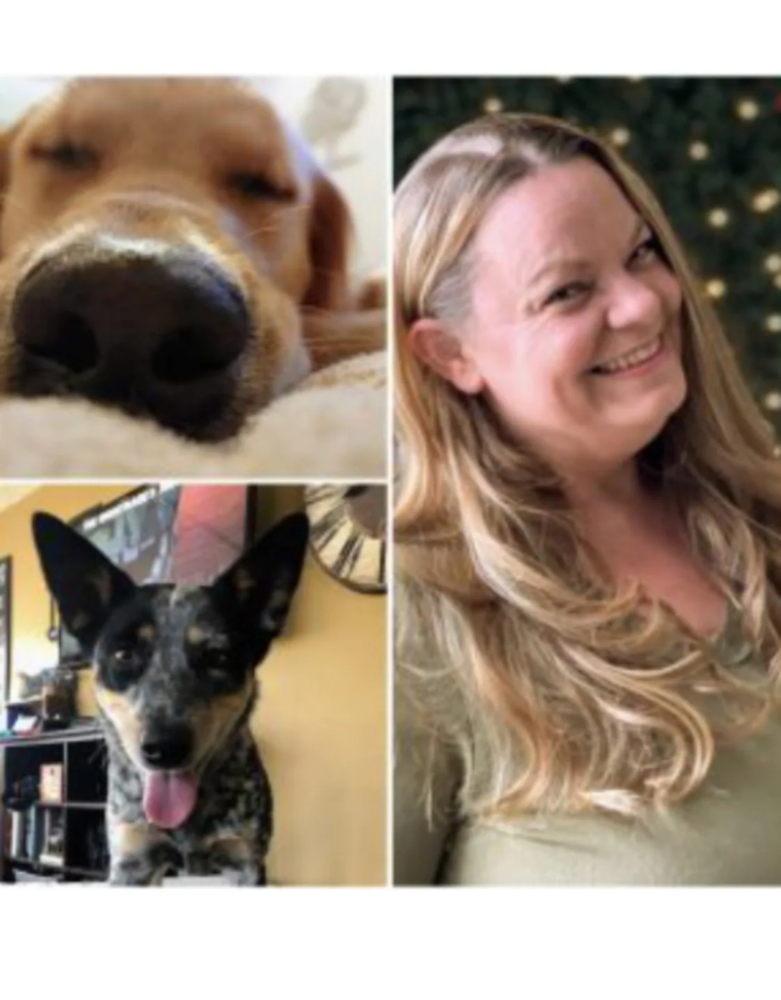 Kelly of Value Vet and her two dogs, Kota & Daisy Kelly of Value Vet and her two dogs, Kota & Daisy