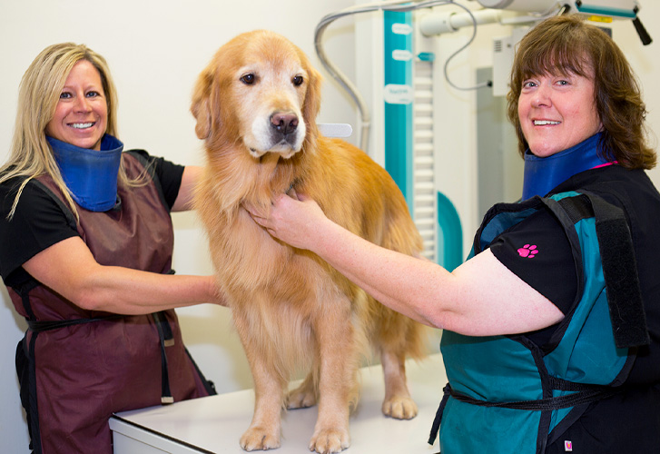 Penni and Joanne with Golden Retriever