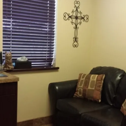 Animal Medical and Surgical Hospital of Frisco Office which showcases a dark leather seat with two throw pillows and mounted accredited certification/diploma on the wall.