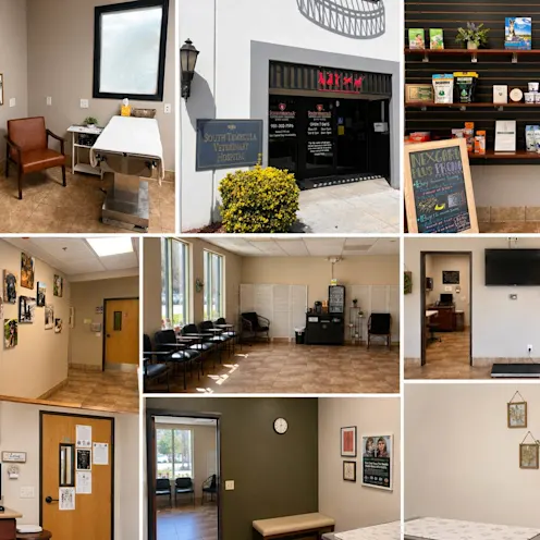 Collage of the different rooms in South Temecula Veterinary Hospital. Collage of the different rooms in South Temecula Veterinary Hospital.