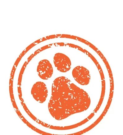 Hilary Torres Hilary Torres