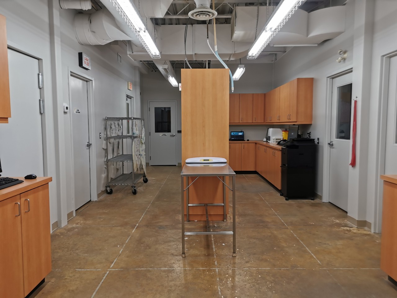 Upstairs Treatment Area at Abbotsford Animal Hospital