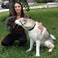 Washington Office | Community Pet Hospital