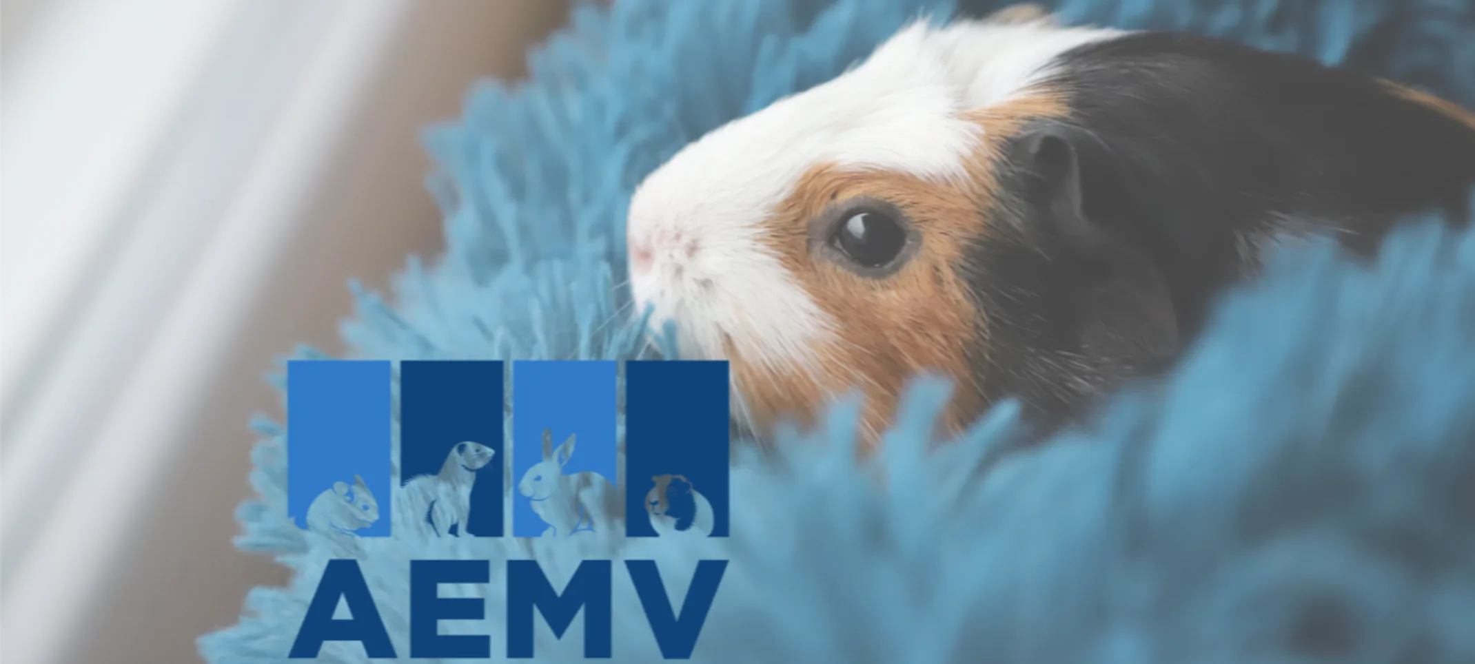 AEMV logo AEMV logo