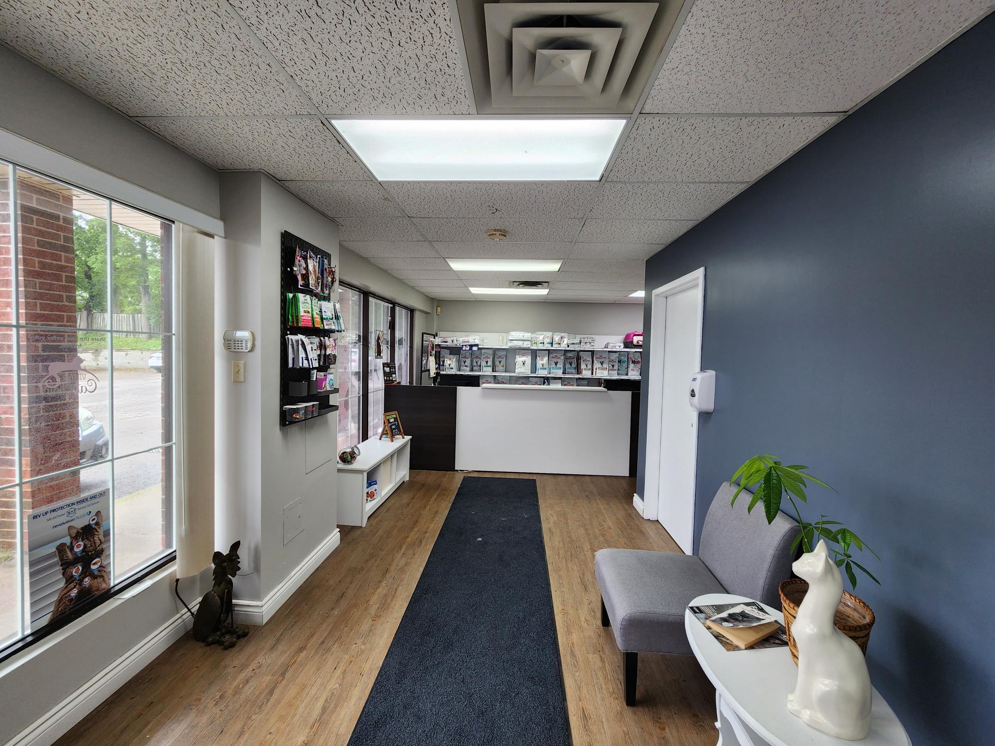 View of Cat Products & Food