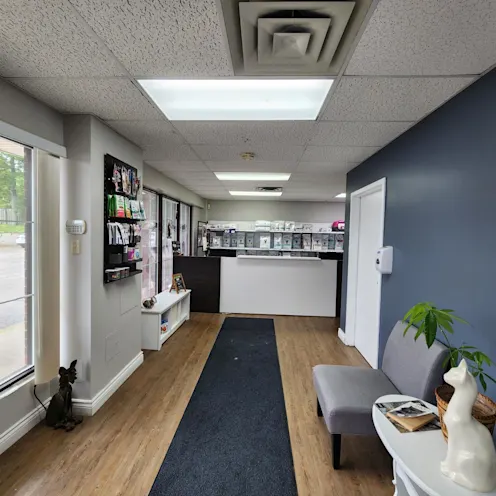 View of Cat Products & Food View of Cat Products & Food