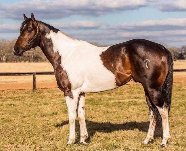 Taken It To The Limit