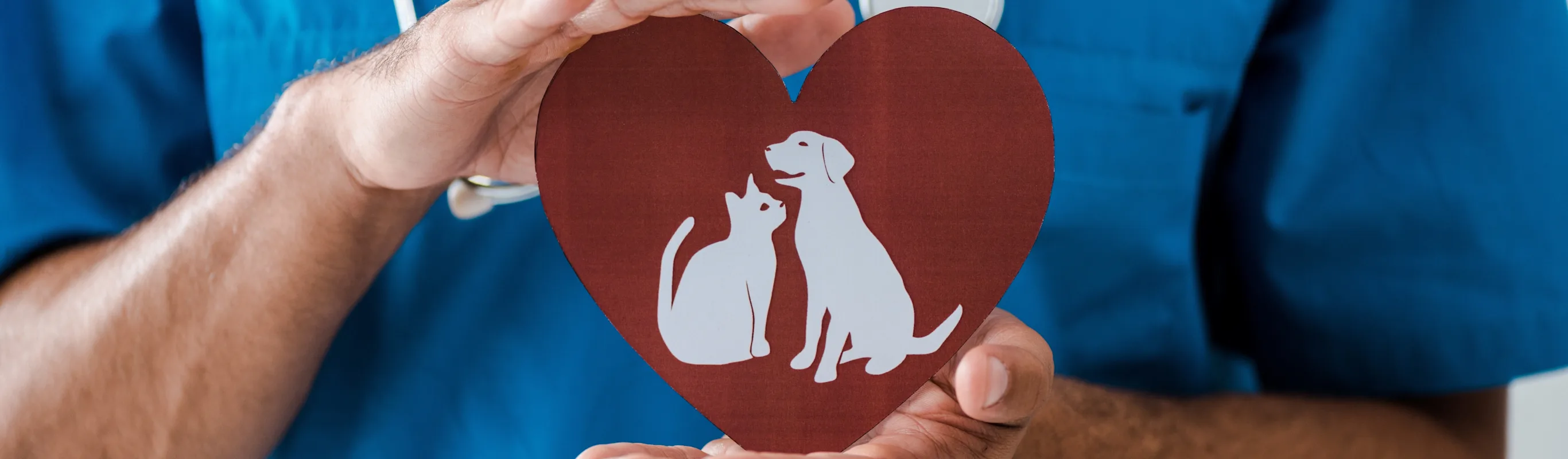 Doctor is holding onto a heart with a cat and dog inside it. Doctor is holding onto a heart with a cat and dog inside it.