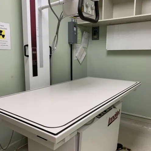 Digital X-Ray at Peaks View Animal Hospital