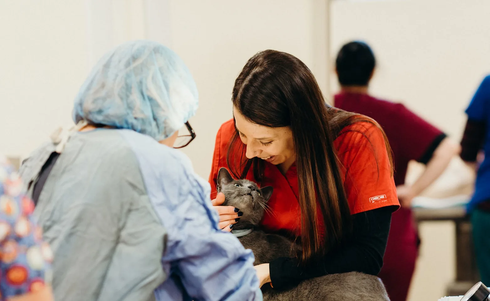 Two people petting a cat at Abbott Valley Veterinary Center