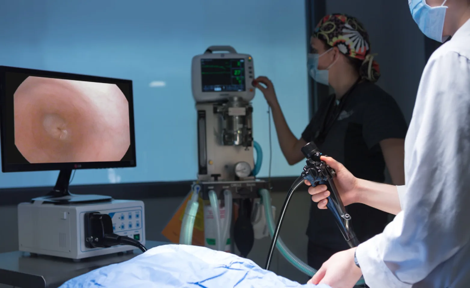 Video Endoscopy at Animal Emergency Clinic of the Fraser Valley Video Endoscopy at Animal Emergency Clinic of the Fraser Valley