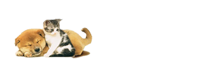 St.Catharine White