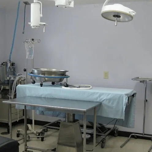 East State Veterinary Clinic Surgical Room