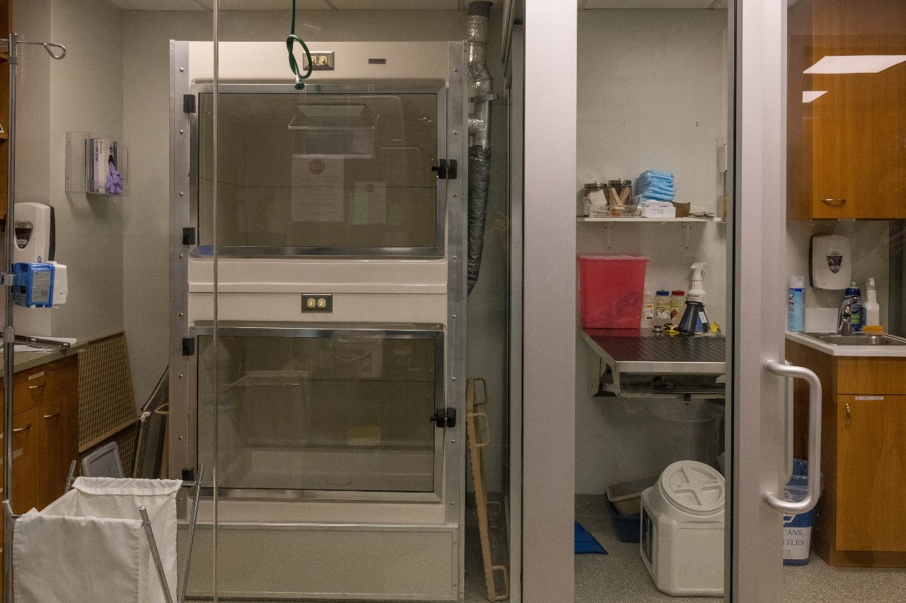 Isolation space in West Village Veterinary Hospital.