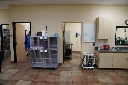 Arroyo Veterinary Center Treatment Area
