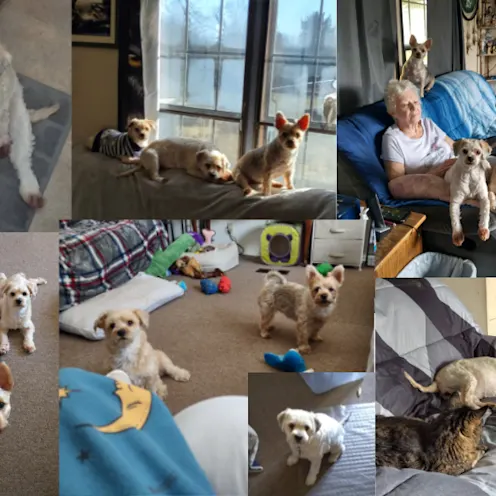 Zoey and Pumpkin Wade Zoey and Pumpkin Wade