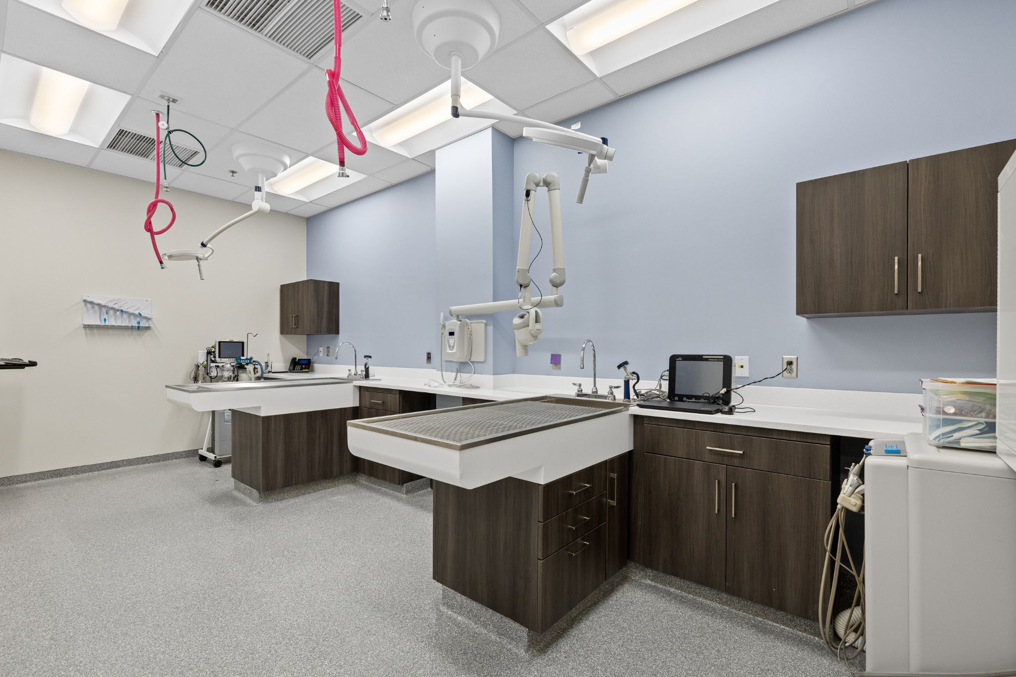 Animal Clinic of Rapid City Grooming Area