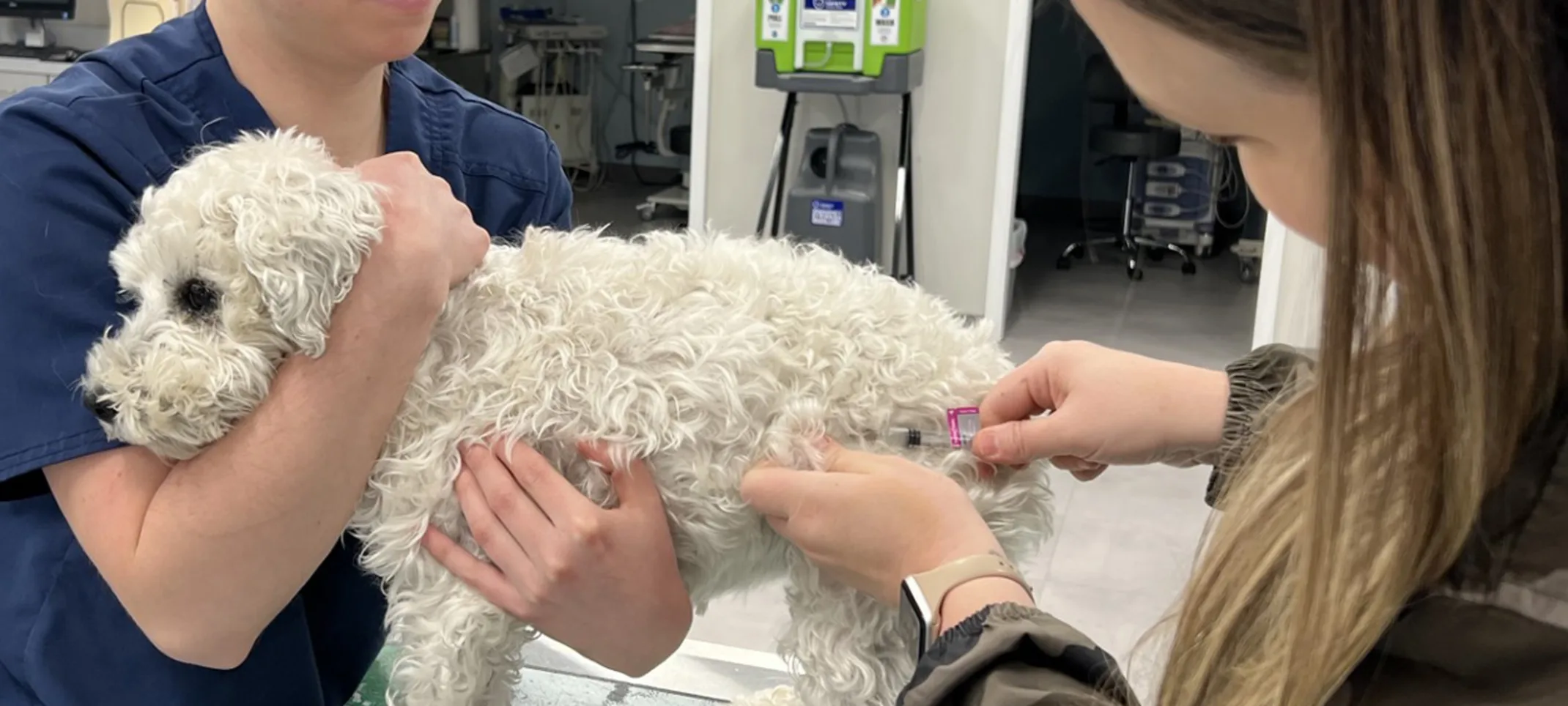 Vaccination Vaccination