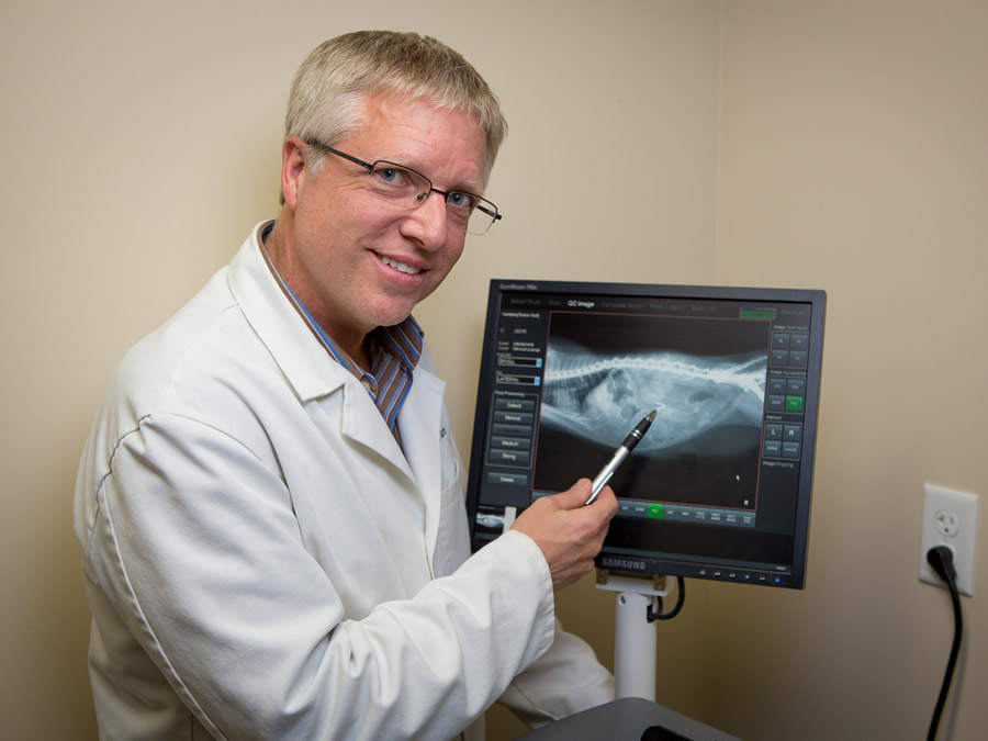 Park Veterinary Centre Xray Image