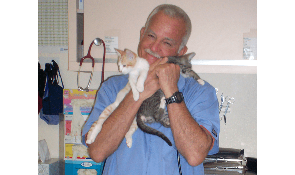 Catalina Pet Hospital Kittens