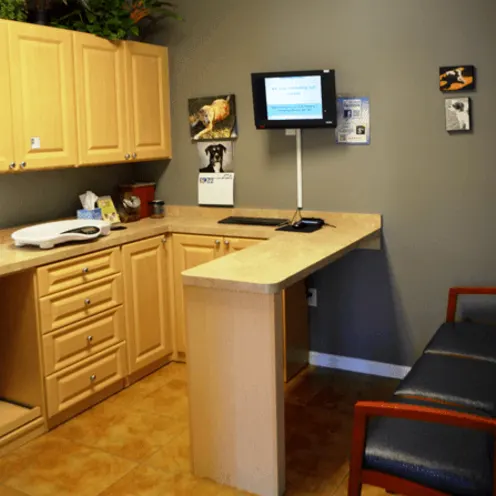 Critical Care/Surgical Center - Exam Room Critical Care/Surgical Center - Exam Room