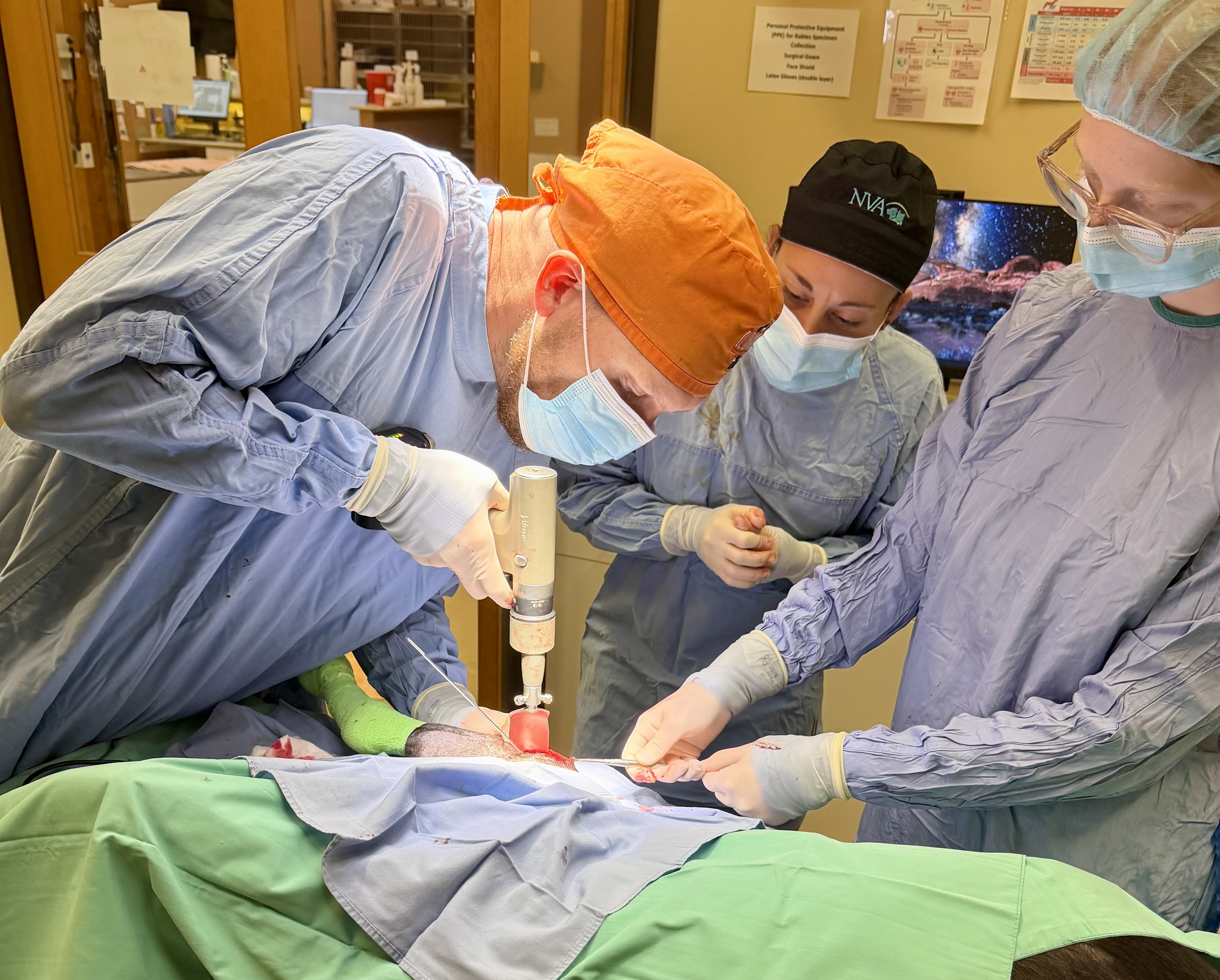 Orthopedic Surgery