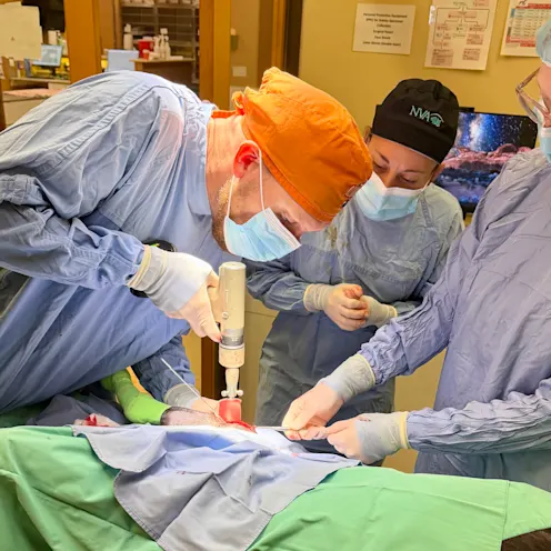 Orthopedic Surgery Orthopedic Surgery