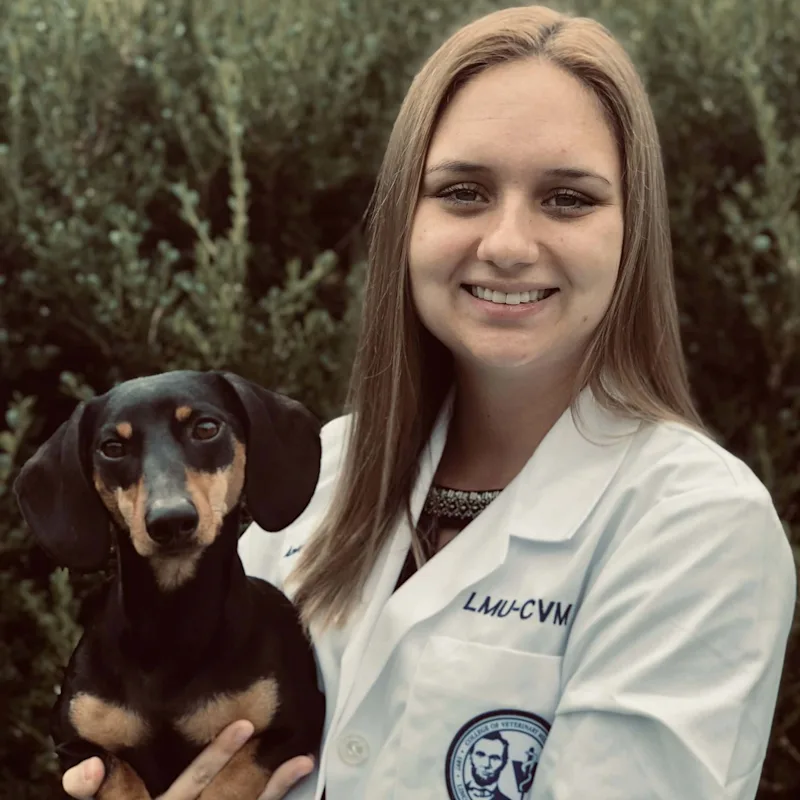 Dr. Amber Setzenfand Dr. Amber Setzenfand