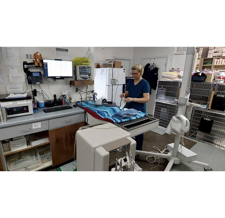 Animal Medical Center (Tuscaloosa) Prep For Dental Procedure