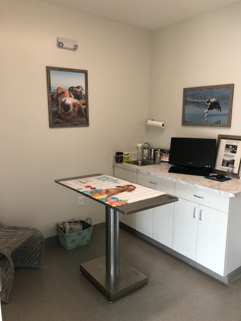 Exam table in exam room