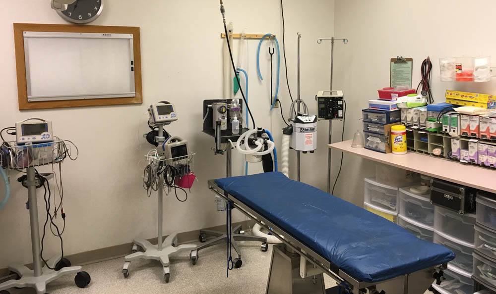 Holladay Veterinary Hospital Operation Room