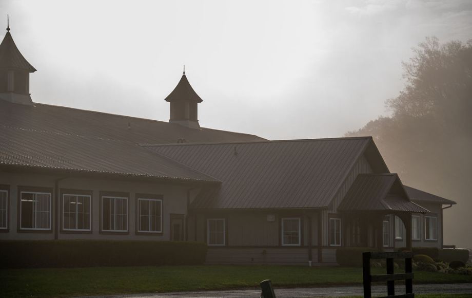 Premier Equine Veterinary Care in Elkton, MD Equine Veterinary Care