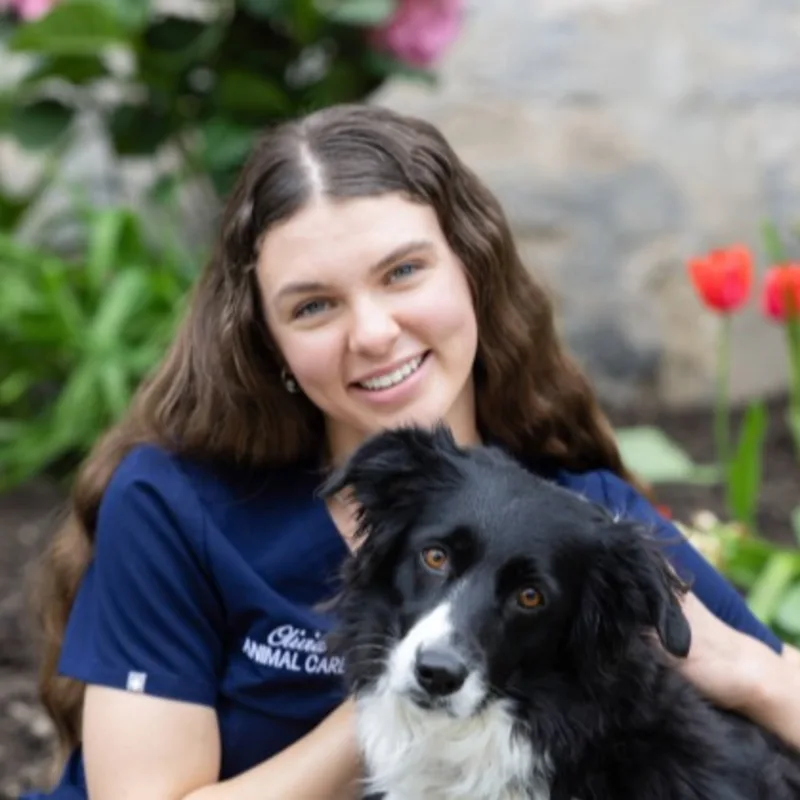 placeholder picture placeholder picture