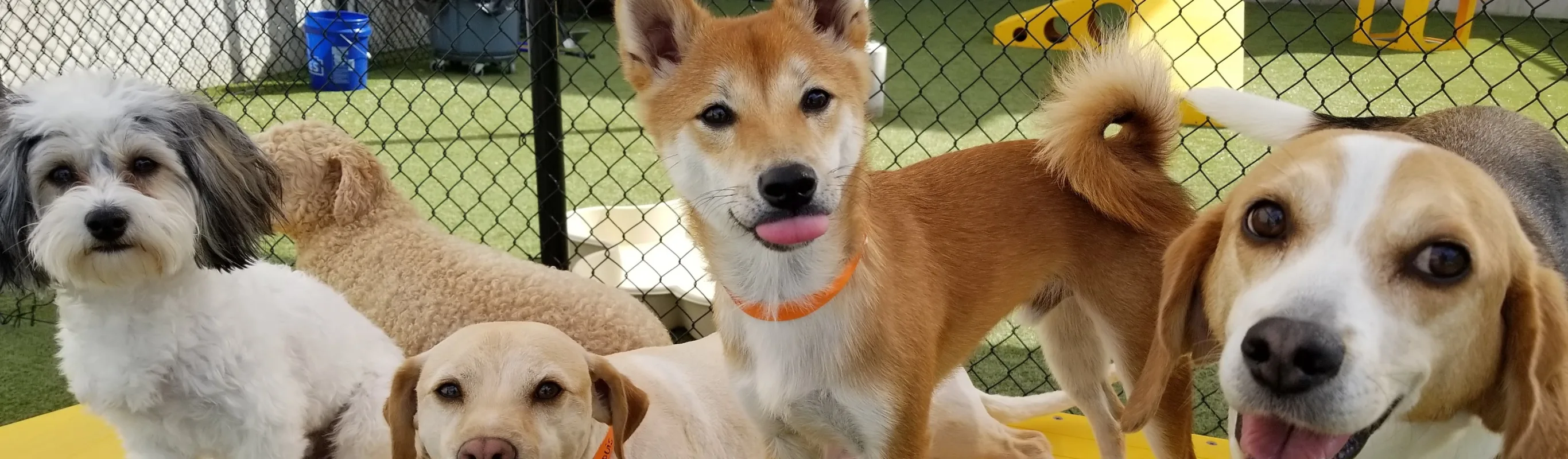 Daycare facility Daycare facility