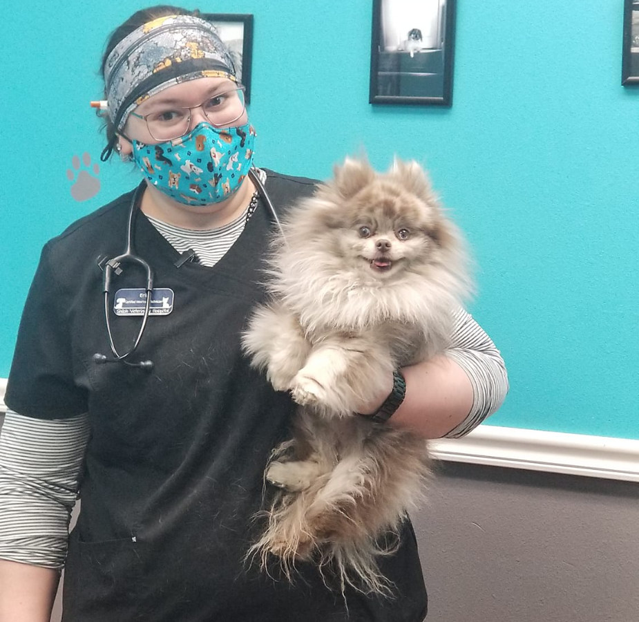 Staff member holding fluffy gray and white dog