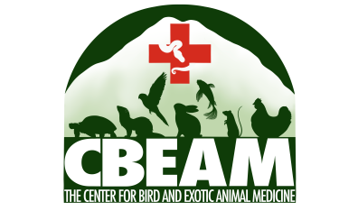 Center for Bird and Exotic Animal Medicine-HeaderLogo