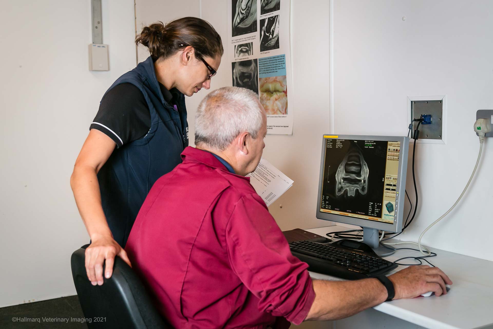 Equine MRI