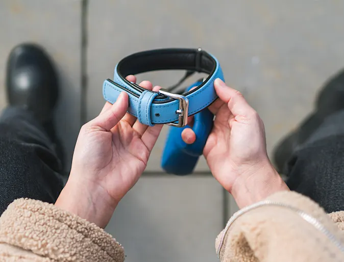 Hands holding collar Hands holding collar