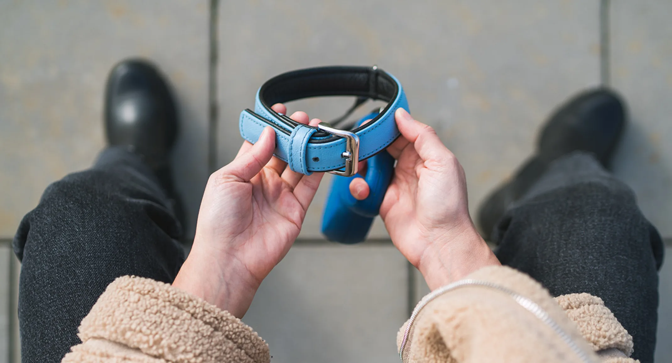 Hands holding collar Hands holding collar