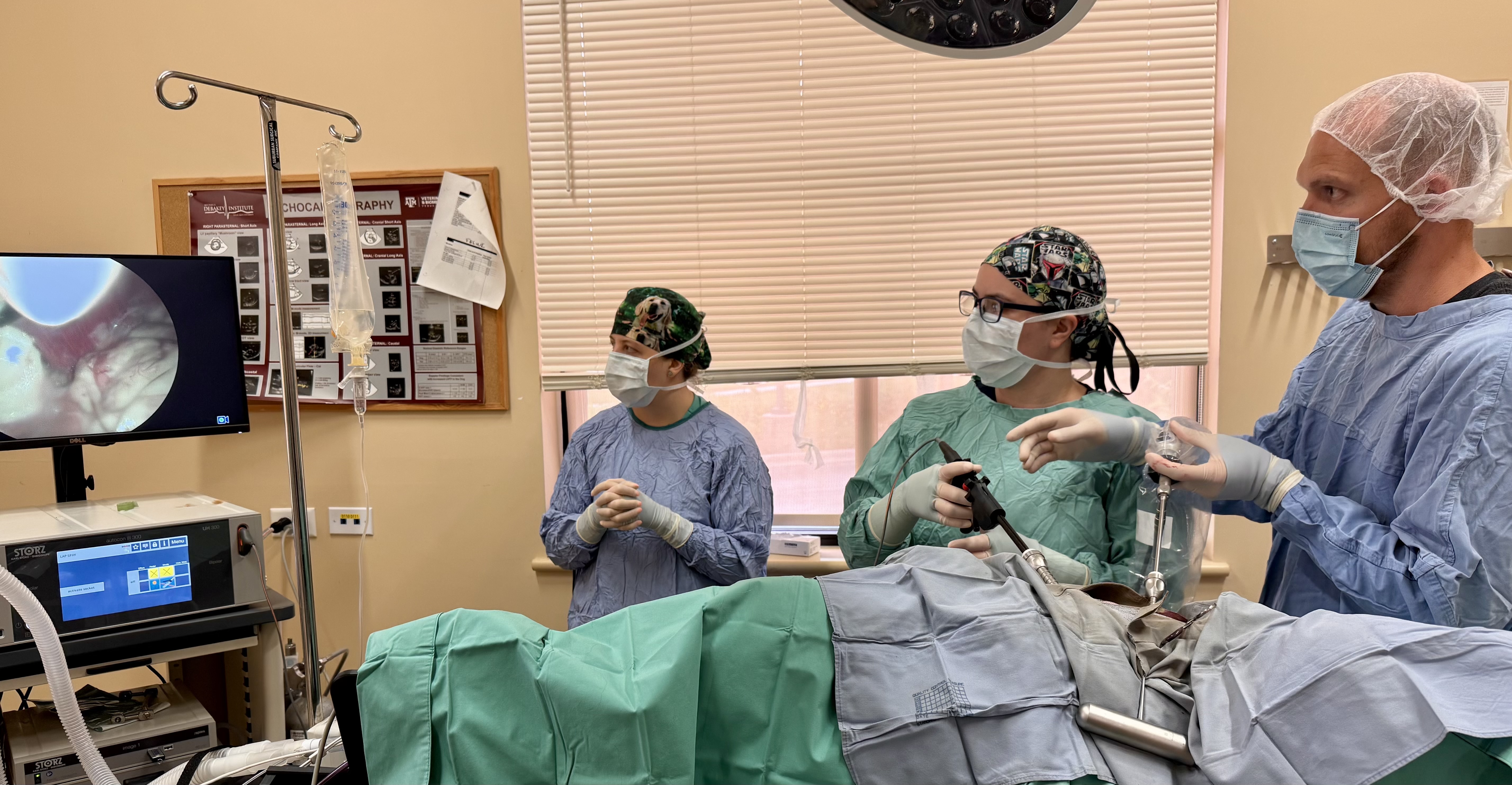Laparoscopic Gastropexy