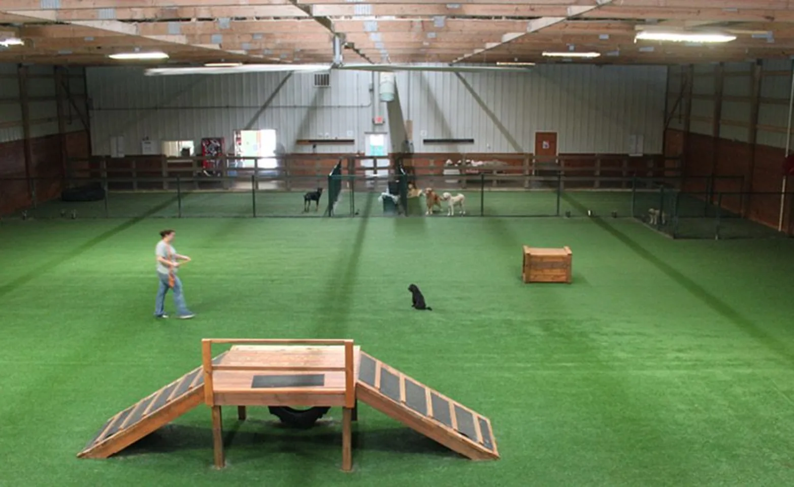 Interior Play Area at The Pet Ranch Interior Play Area at The Pet Ranch
