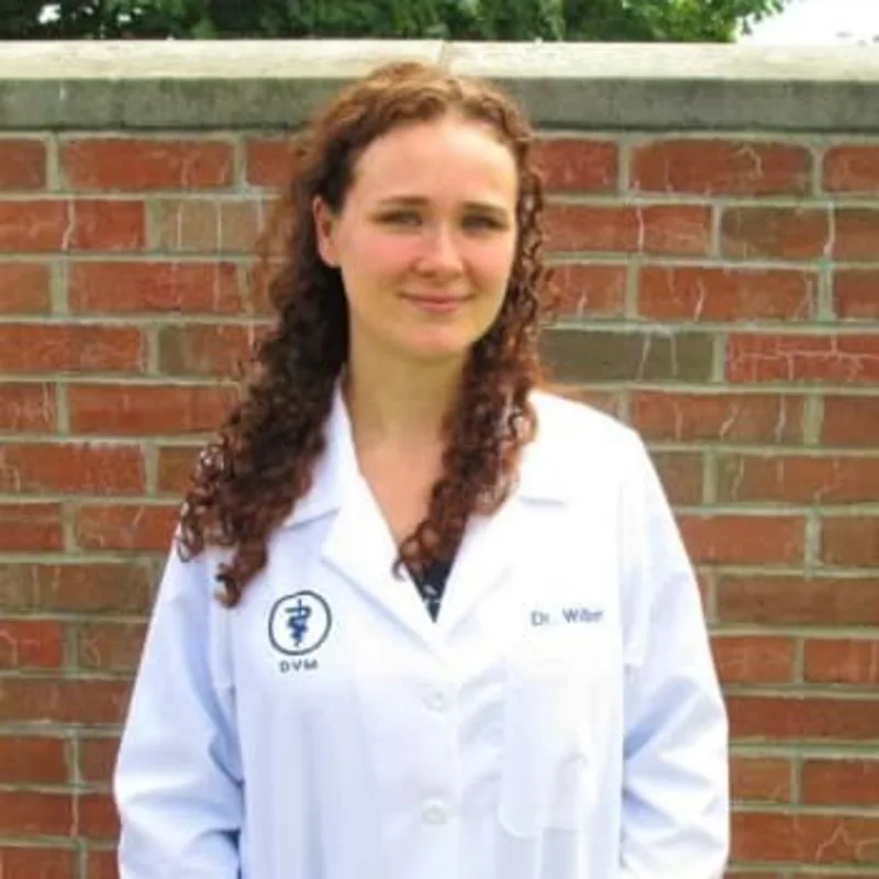 Dr. Wilborn Dr. Wilborn