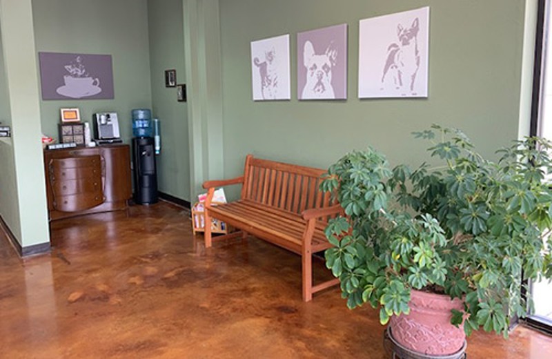 View of Waiting Room with Bench