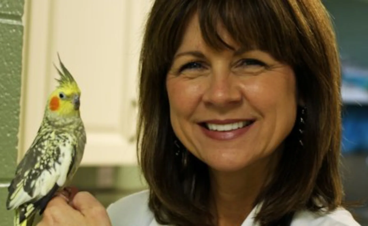 Dr. Julie Cappel, veterinarian and owner at WWVH Dr. Julie Cappel, veterinarian and owner at WWVH