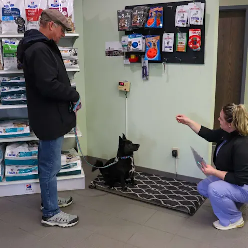 JB Dog Weight JB Dog Weight