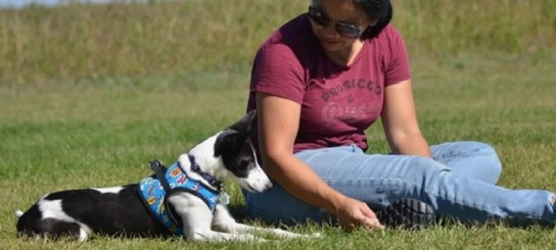 Tam training outdoors with dog Tam training outdoors with dog